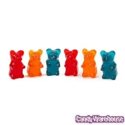 Big Gummy Bears: 6-Piece Pack -Snack Store big gummy bears 6 piece pack candy warehouse 5
