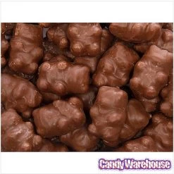 Chocolate Covered Cinnamon Bears: 14-Ounce Bag 6 Chocolate Covered Cinnamon Bears: 14-Ounce Bag -Snack Store chocolate covered cinnamon bears 14 ounce bag candy warehouse 3