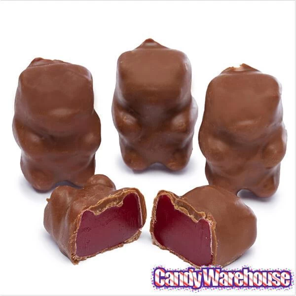 Chocolate Covered Cinnamon Bears: 14-Ounce Bag 4 Chocolate Covered Cinnamon Bears: 14-Ounce Bag - Image 4