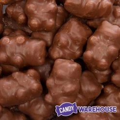 Chocolate Covered Cinnamon Bears: 3LB Bag -Snack Store chocolate covered cinnamon bears 3lb bag candy warehouse 3 09c9fde5 5480 4125 bc3e 99c47ff0568d