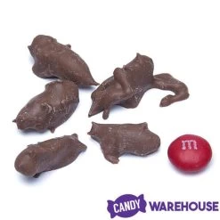 Chocolate Covered Crickets: 100-Piece Tub -Snack Store chocolate covered crickets 100 piece tub candy warehouse 3