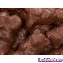 Chocolate Covered Jumbo Gummy Bears: 5LB Box -Snack Store chocolate covered jumbo gummy bears 5lb box candy warehouse 3