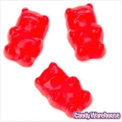 Cinnamon Bears Candy: 16-Ounce Bag 6 Cinnamon Bears Candy: 16-Ounce Bag -Snack Store cinnamon bears candy 16 ounce bag candy warehouse 3