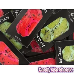 Edible Ant Farm Candy Packs: 24-Piece Box -Snack Store edible ant farm candy packs 24 piece box candy warehouse 3 b93032bc 2f4f 4996 bd7b 5dc8642b6554