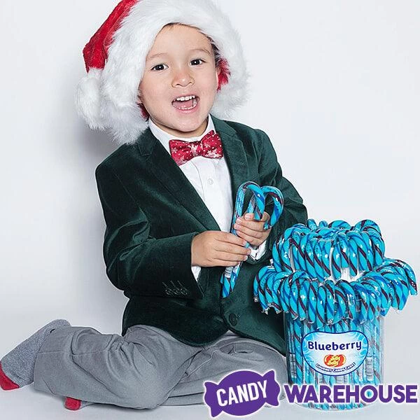 Jelly Belly Candy Canes - Blueberry: 80-Piece Bucket 3 Jelly Belly Candy Canes - Blueberry: 80-Piece Bucket - Image 3