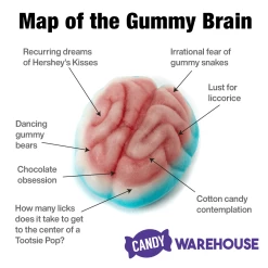 Jelly Filled Gummy Brains: 1KG Bag -Snack Store jelly filled gummy brains 1kg bag candy warehouse 3