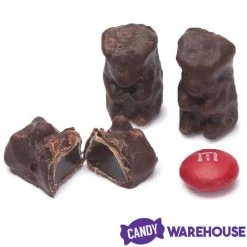 Koppers Dark Chocolate Covered Gummi Bears: 1LB Jar 7 Koppers Dark Chocolate Covered Gummi Bears: 1LB Jar -Snack Store koppers dark chocolate covered gummi bears 1lb jar candy warehouse 3