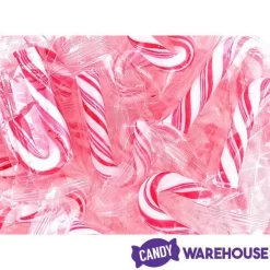 Mini Candy Canes - Red And White: 100-Piece Tub 13 Mini Candy Canes - Red And White: 100-Piece Tub -Snack Store mini candy canes red and white 100 piece tub candy warehouse 7