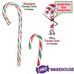 Red, White, And Green Peppermint Mini Candy Canes: 200-Piece Tub 9 Red, White, And Green Peppermint Mini Candy Canes: 200-Piece Tub -Snack Store red white and green peppermint mini candy canes 200 piece tub candy warehouse 3 20088298 14eb 412f 9ac7 e202b70d9995