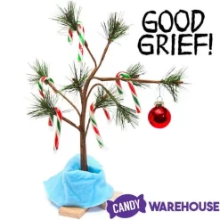 Red, White, And Green Peppermint Mini Candy Canes: 200-Piece Tub 13 Red, White, And Green Peppermint Mini Candy Canes: 200-Piece Tub -Snack Store red white and green peppermint mini candy canes 200 piece tub candy warehouse 7 8ac8102d 1aab 4f67 8bfe 13c615178aec