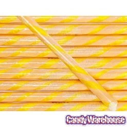 Salted Caramel Hard Candy Sticks: 100-Piece Box 5 Salted Caramel Hard Candy Sticks: 100-Piece Box -Snack Store salted caramel hard candy sticks 100 piece box candy warehouse 3