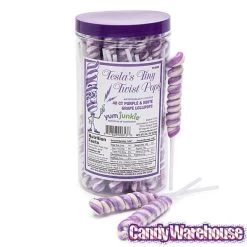 Tesla's Tiny Twist Pops - Grape: 48-Piece Jar 13 Tesla's Tiny Twist Pops - Grape: 48-Piece Jar -Snack Store tesla s tiny twist pops grape 48 piece jar candy warehouse 7